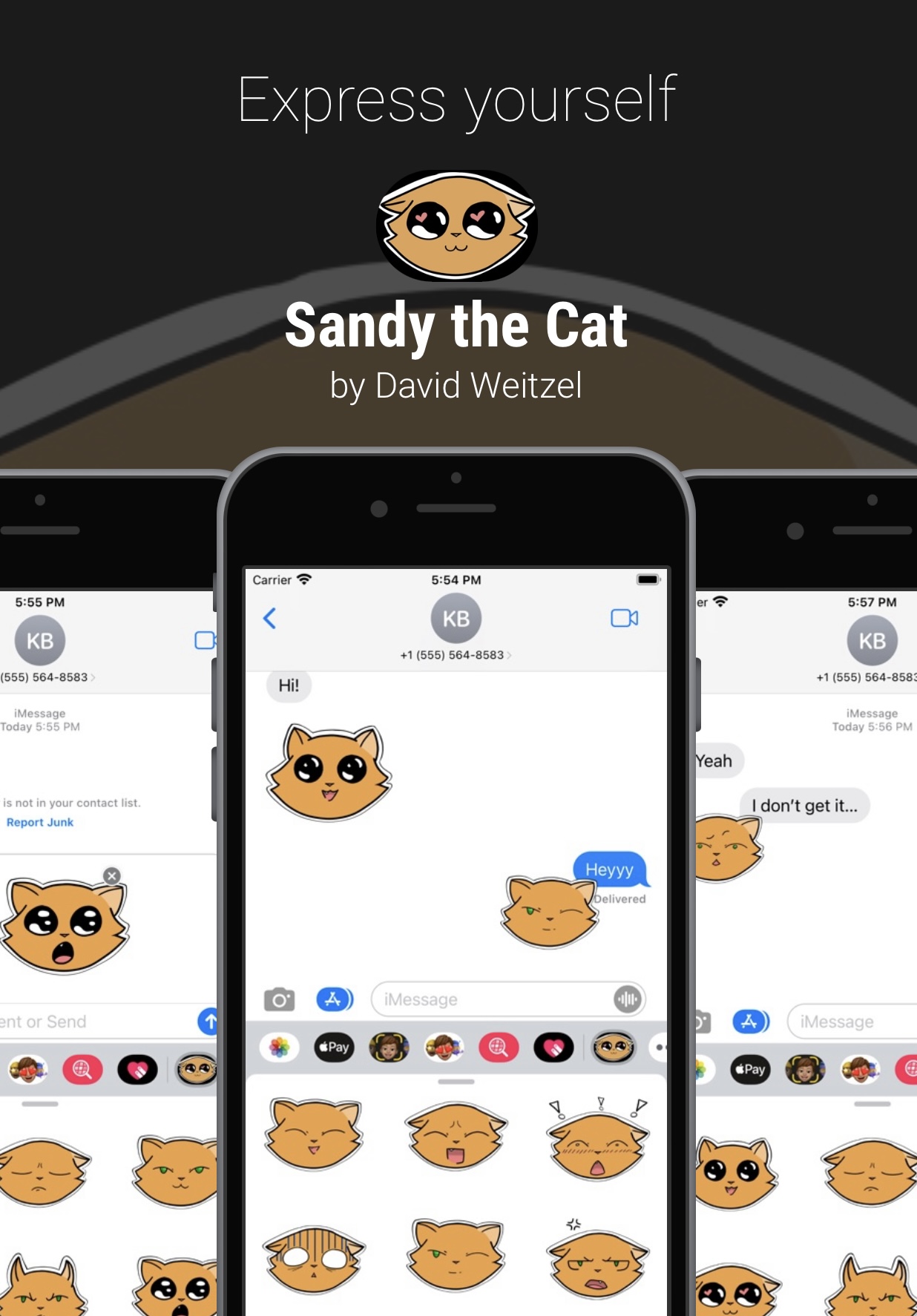 sandy the cat mockup